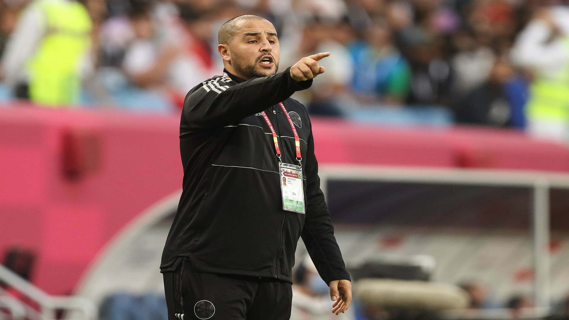 AL WAKRAH, QATAR - DECEMBER 04: Madjid Bougherra the manager / head coach of Algeria during the FIFA Arab Cup Qatar 2021 Group D match between Lebanon and Algeria at Al Janoub Stadium on December 4, 2021 in Al Wakrah, Qatar. (Photo by James Williamson - AMA/Getty Images)