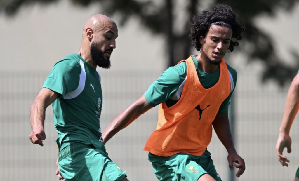 صافرة من جنوب إفريقيا لمواجهة الأسود و الغابون